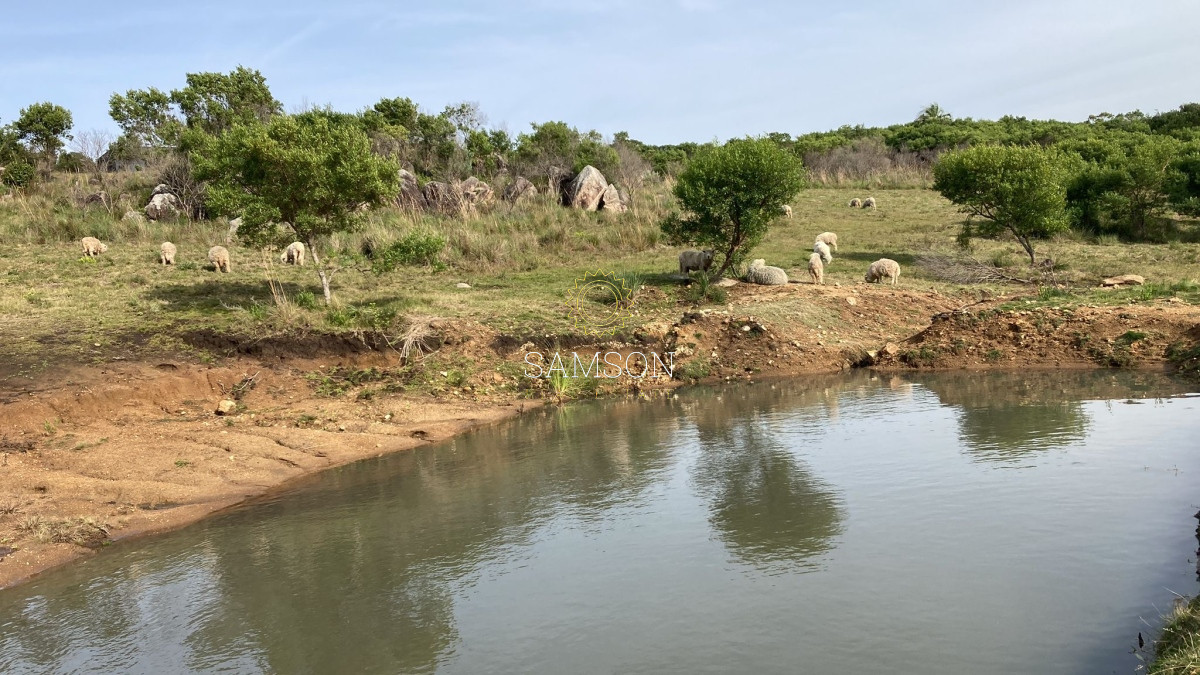 Chacra ID.66966 - Chacra en venta las cañas Maldonado 