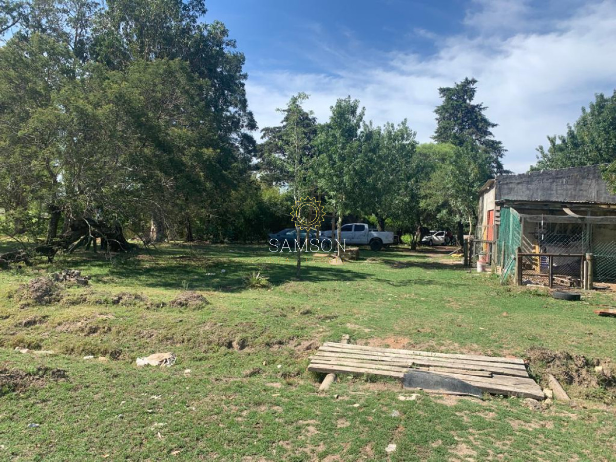 Chacra ID.63911 - VENTA CHACRA DE 5 HECTÁREAS 