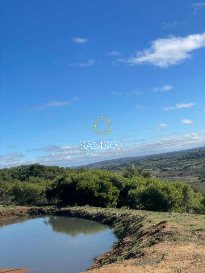 Chacra ID.66966 - Chacra en venta las cañas Maldonado 