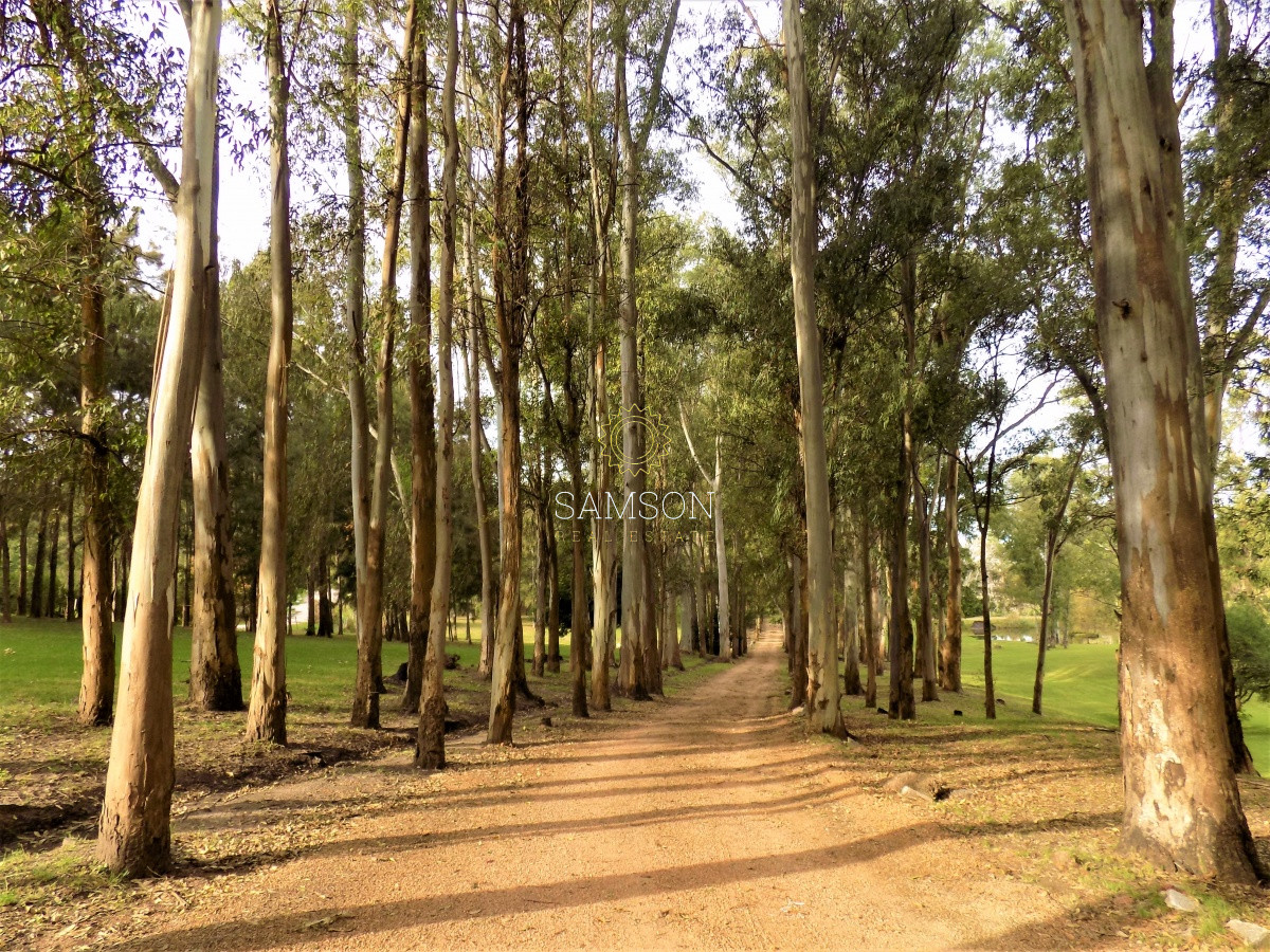 Chacra ID.28 - venta de chacra Marítimo de 4 dormitorios punta ballena maldonado