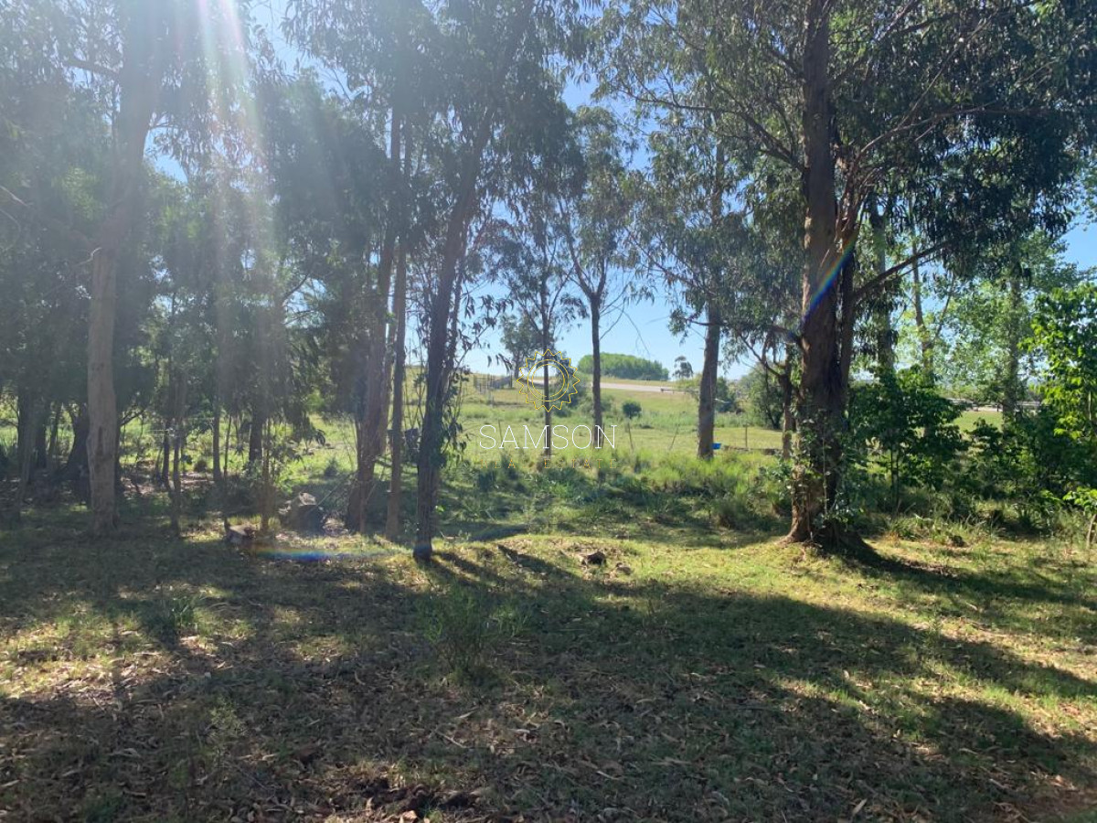 Chacra ID.63911 - VENTA CHACRA DE 5 HECTÁREAS 