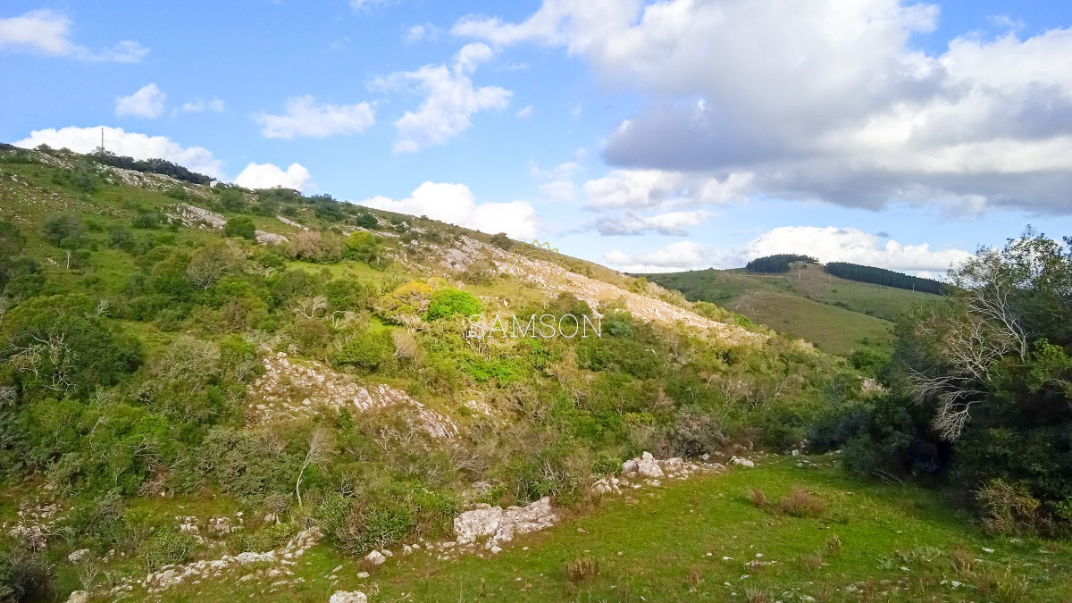 Chacra ID.63931 - Oportunidad Venta de chacras en Ruta 12