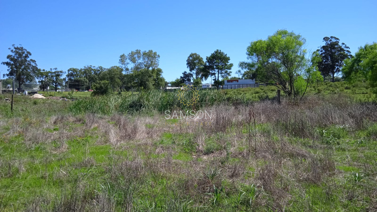 Chacra ID.63983 - Espectacular Chacra Comercial en Maldonado 