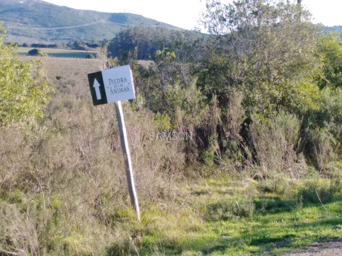 Chacra ID.65162 - Chacras en las Ánimas