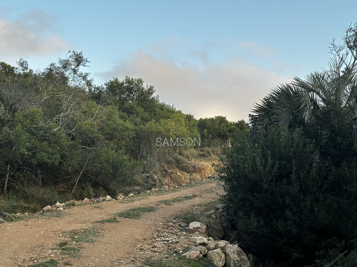 Chacra ID.66966 - Chacra en venta las cañas Maldonado 