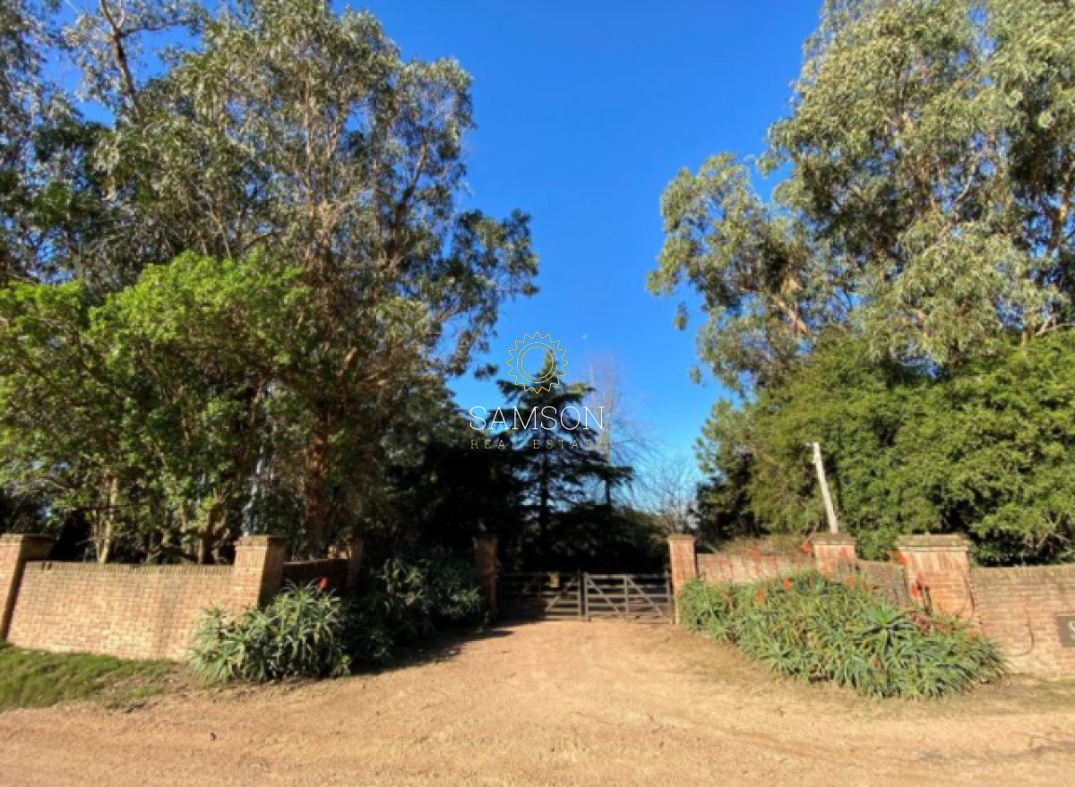 Chacra ID.65212 - Venta de Chacra 6 dormitorios en Punta Ballena, la Pataia Maldonado