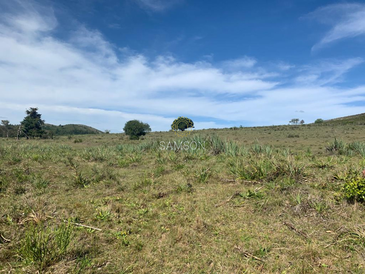 Chacra ID.63911 - VENTA CHACRA DE 5 HECTÁREAS 