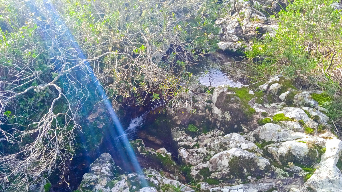 Chacra ID.63931 - Oportunidad Venta de chacras en Ruta 12