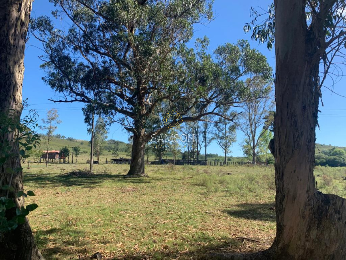 Chacra ID.63911 - VENTA CHACRA DE 5 HECTÁREAS 