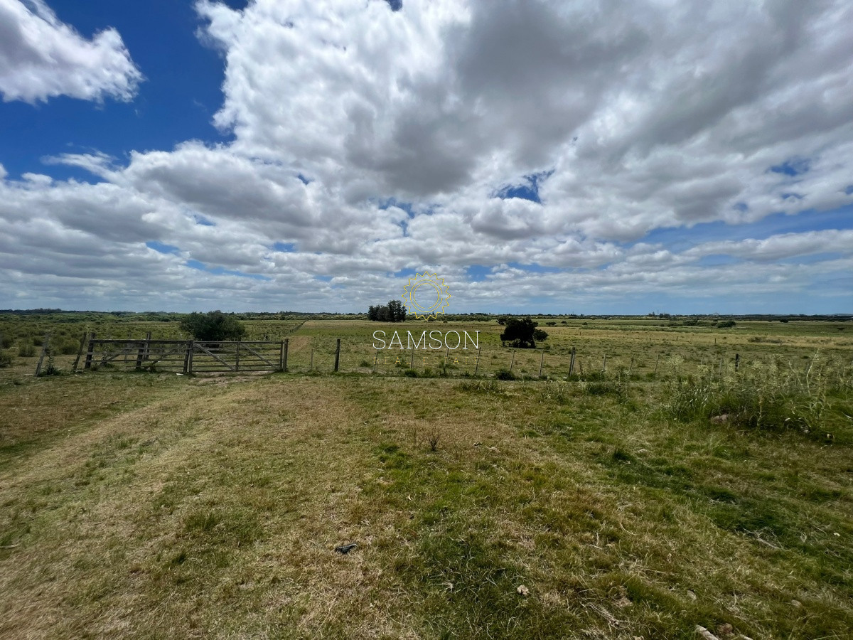 Chacra ID.109 - Chacra con costa sobre arroyo Maldonado en venta