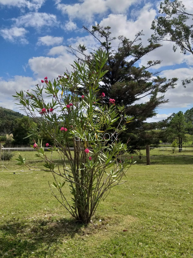 Chacra ID.62544 - venta de chacra 4 dormitorios en Punta Ballena