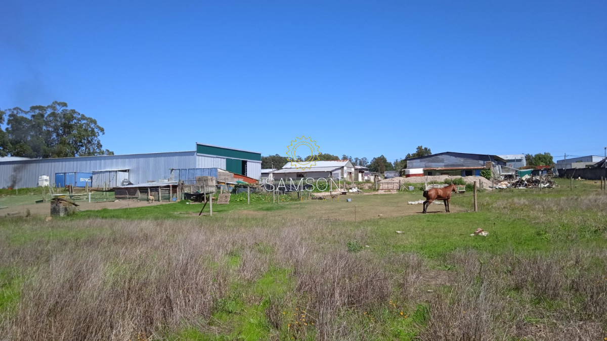 Chacra ID.63983 - Espectacular Chacra Comercial en Maldonado 