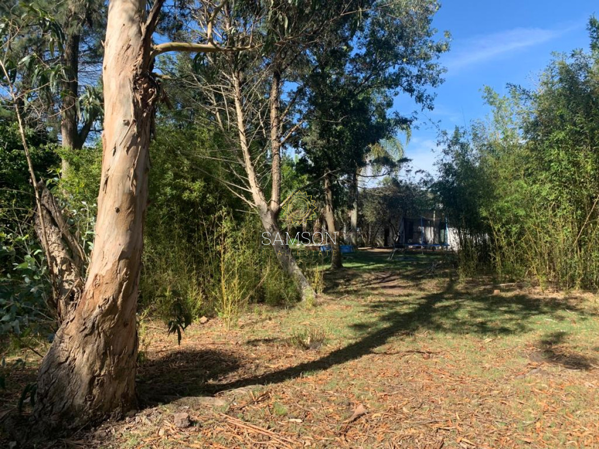 Chacra ID.63911 - VENTA CHACRA DE 5 HECTÁREAS 