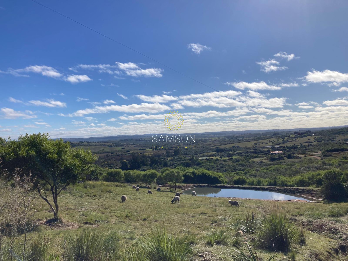 Chacra ID.66966 - Chacra en venta las cañas Maldonado 