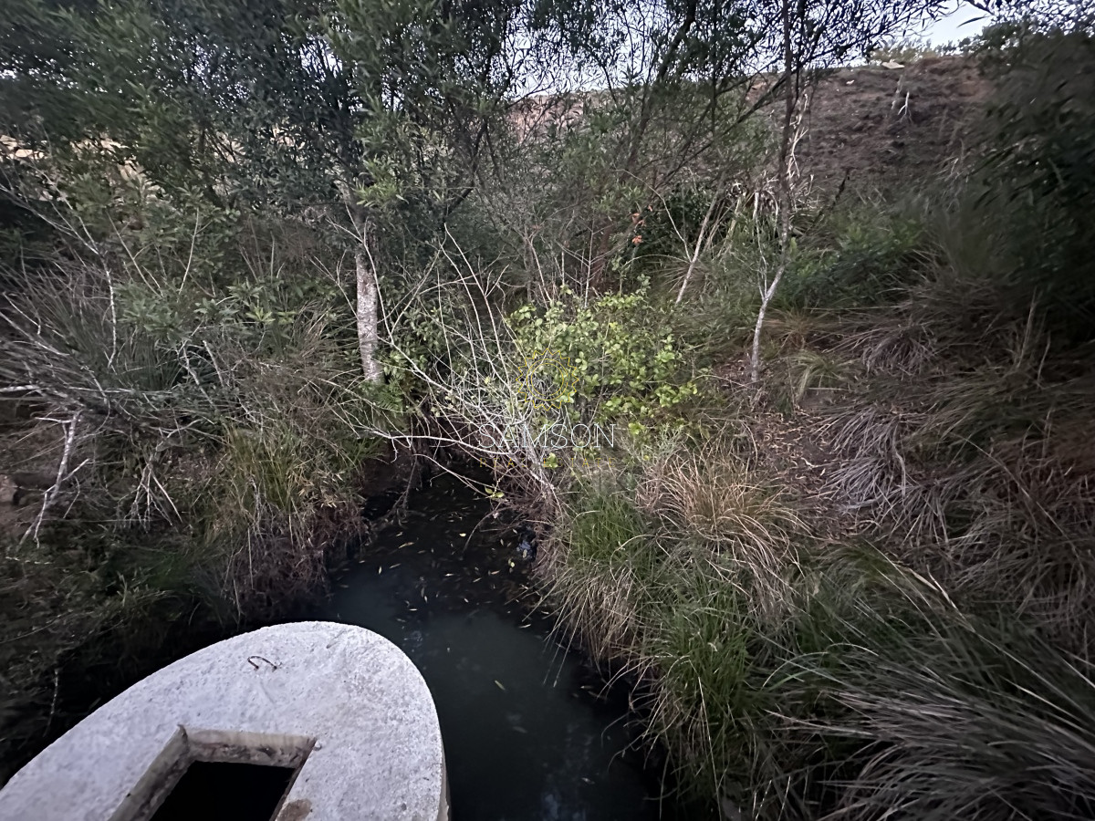 Chacra ID.66966 - Chacra en venta las cañas Maldonado 