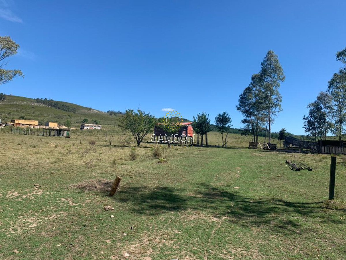 Chacra ID.63911 - VENTA CHACRA DE 5 HECTÁREAS 