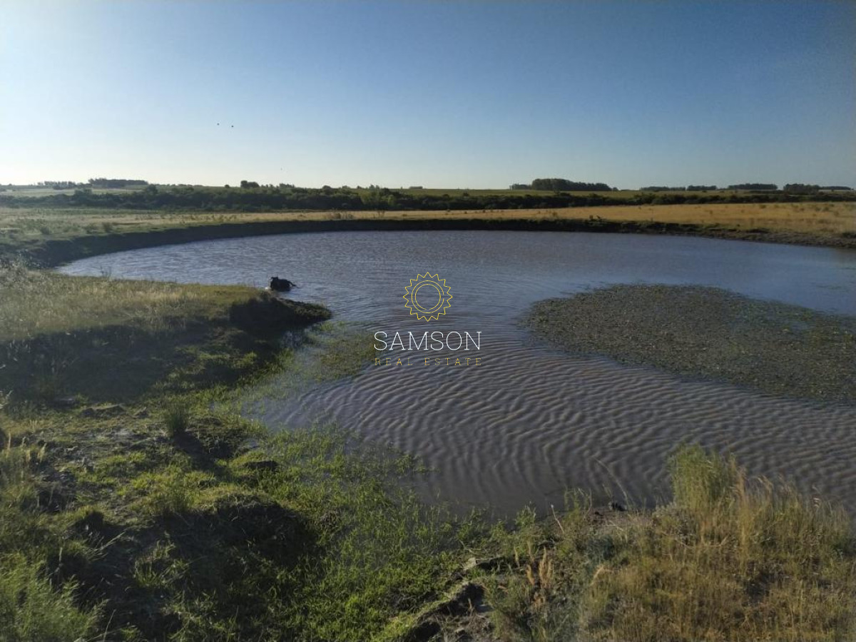 Campo Ref.64192 - Oportunidad de campo agricola e ganadero en venta florida uruguay