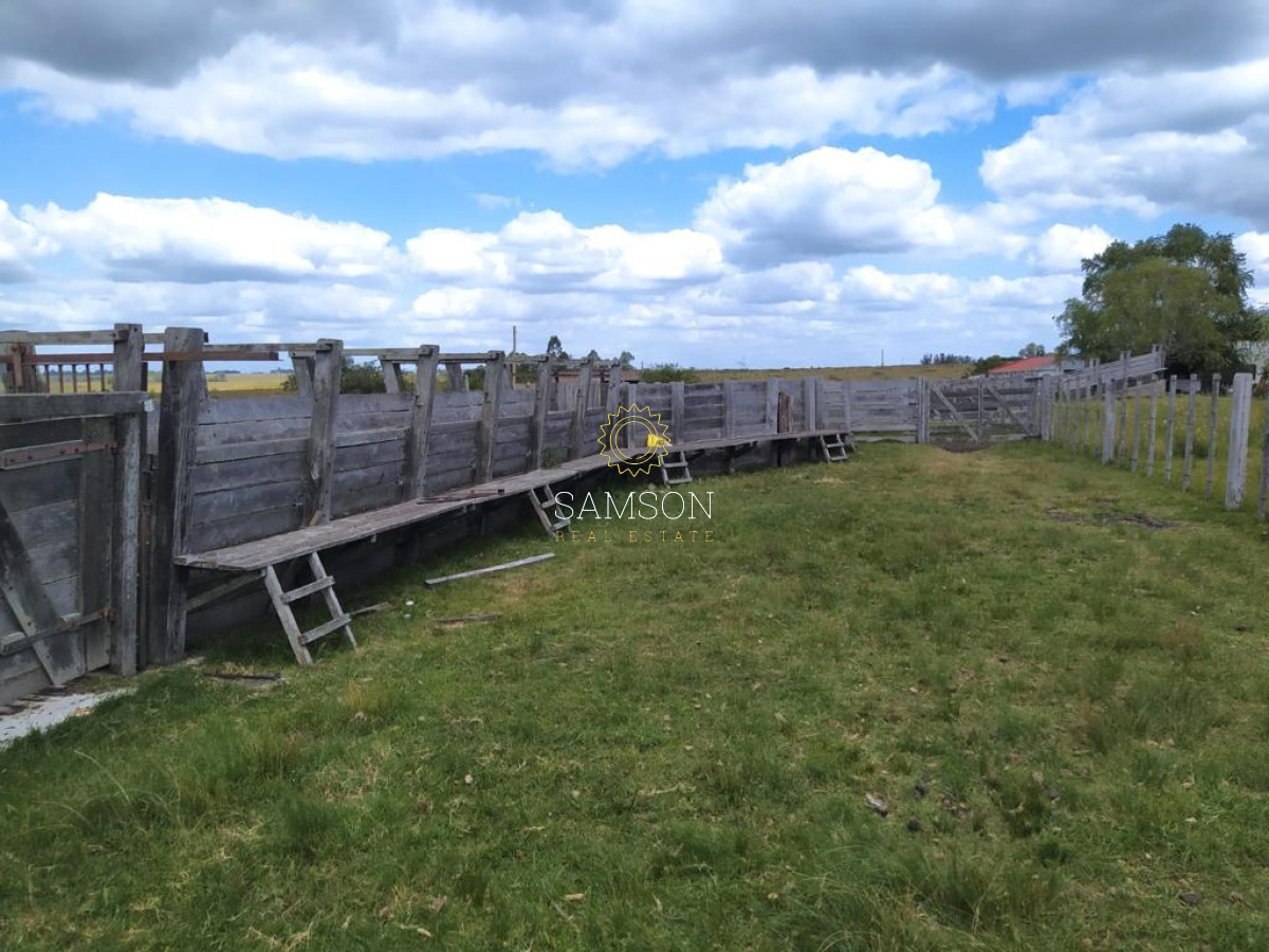 Campo Ref.64192 - Oportunidad de campo agricola e ganadero en venta florida uruguay
