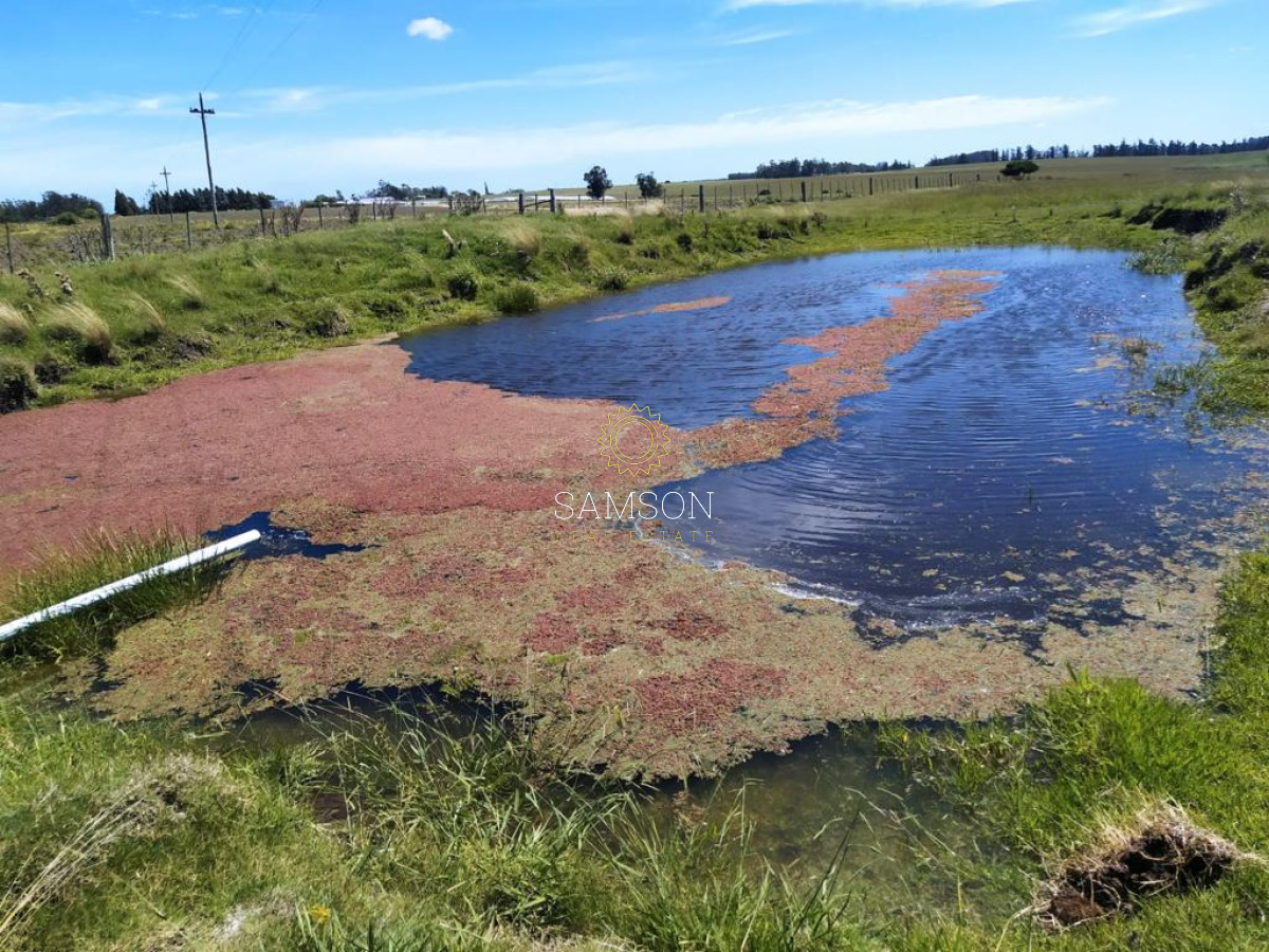 Campo Ref.64192 - Oportunidad de campo agricola e ganadero en venta florida uruguay
