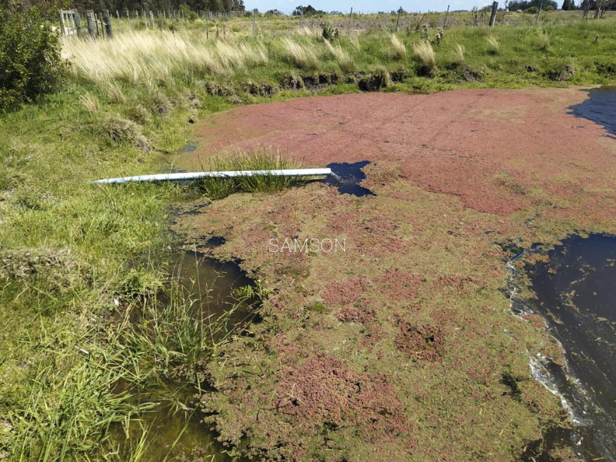 Campo Ref.64192 - Oportunidad de campo agricola e ganadero en venta florida uruguay