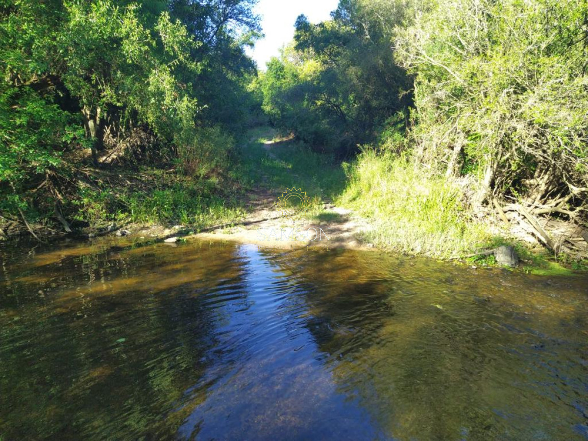 Campo Ref.64192 - Oportunidad de campo agricola e ganadero en venta florida uruguay