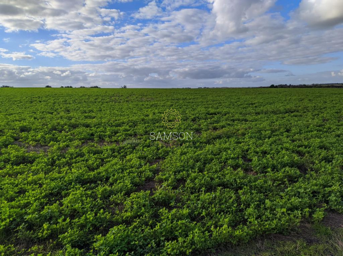 Campo Ref.64192 - Oportunidad de campo agricola e ganadero en venta florida uruguay