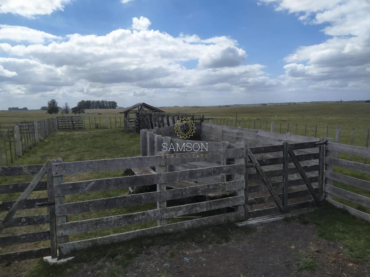 Campo Ref.64192 - Oportunidad de campo agricola e ganadero en venta florida uruguay