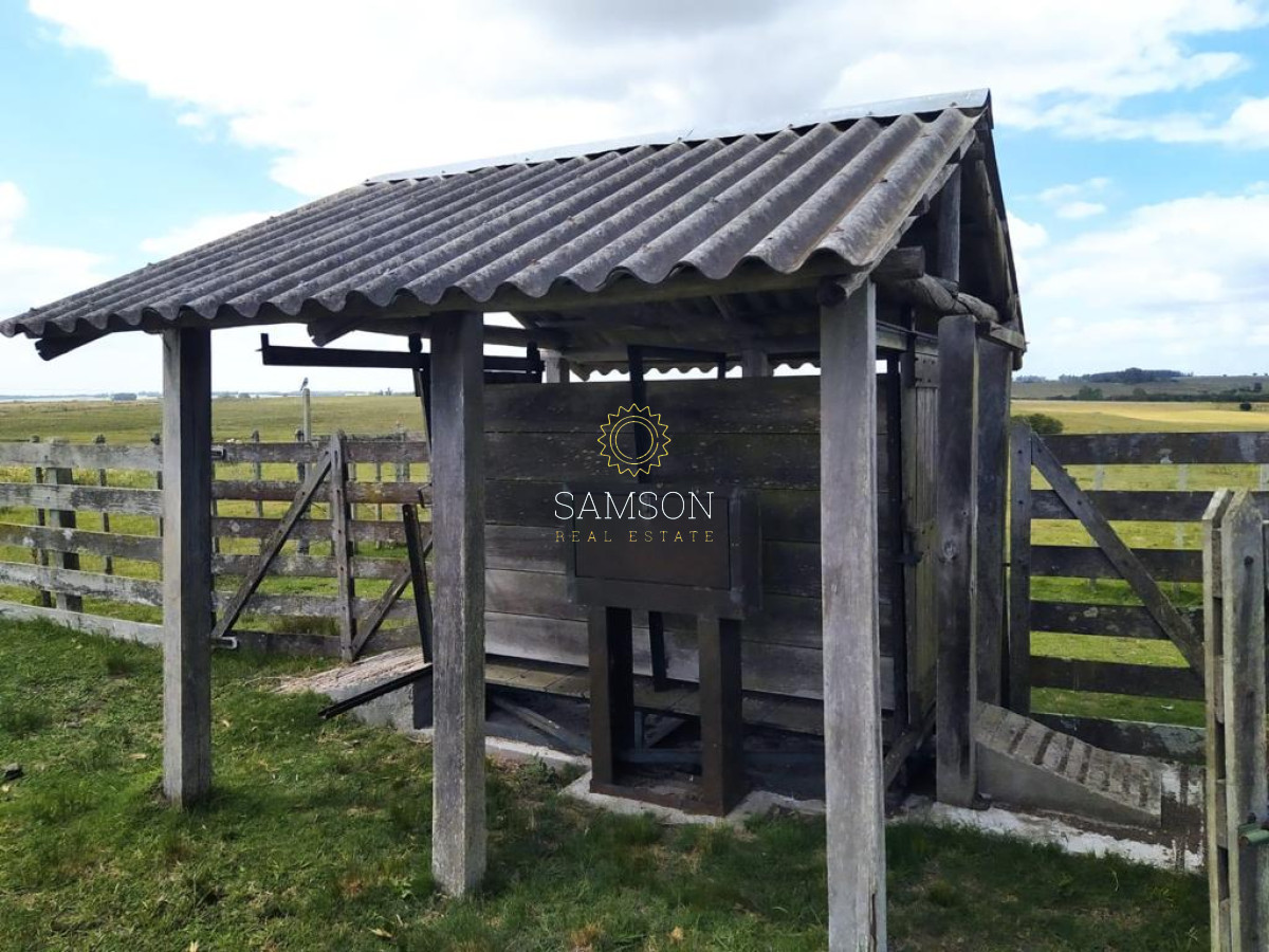 Campo Ref.64192 - Oportunidad de campo agricola e ganadero en venta florida uruguay