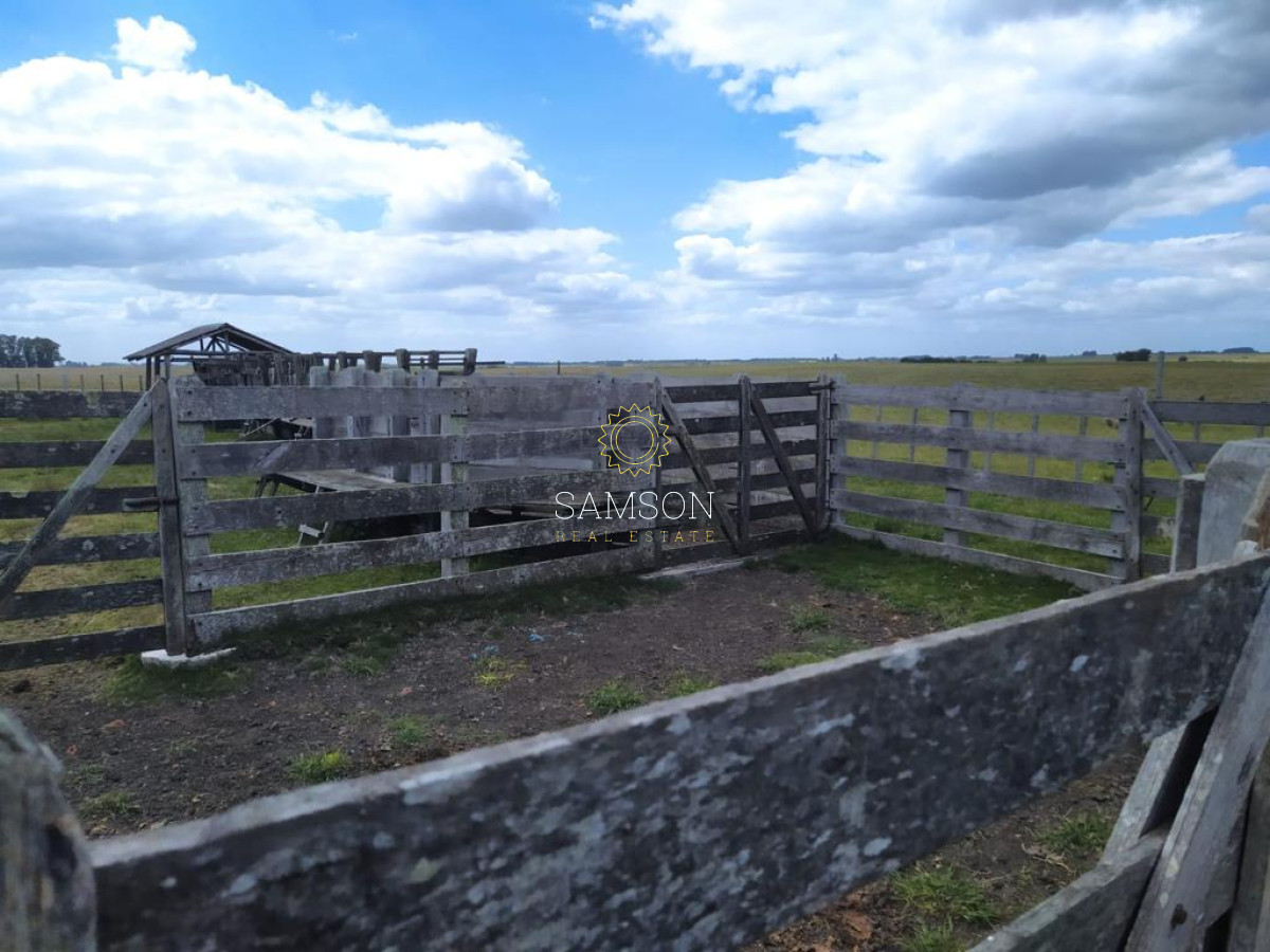 Campo Ref.64192 - Oportunidad de campo agricola e ganadero en venta florida uruguay