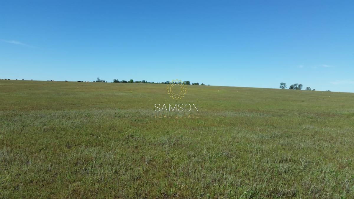 Campo Ref.64084 - Venta de campo ganadero-agricola en Paysandu
