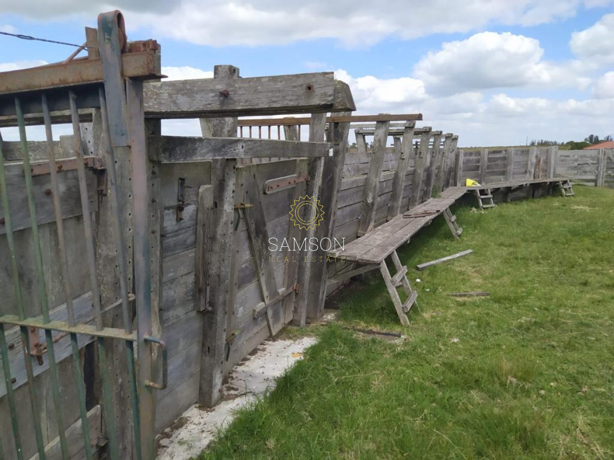 Campo Ref.64192 - Oportunidad de campo agricola e ganadero en venta florida uruguay
