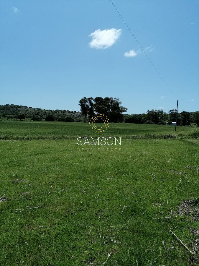 Campo Ref.64111 - Campo en venta 28 hás. Paraje Salamanca.