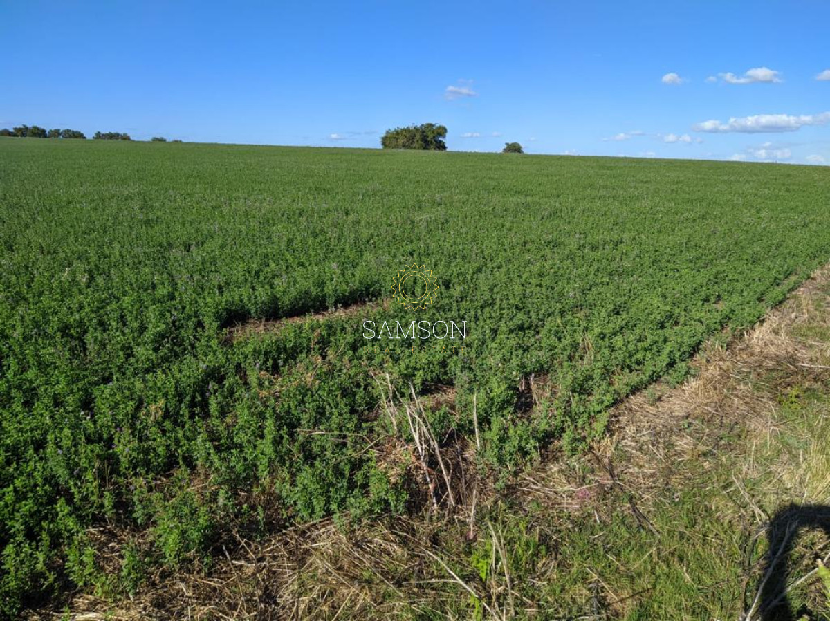 Campo Ref.64192 - Oportunidad de campo agricola e ganadero en venta florida uruguay