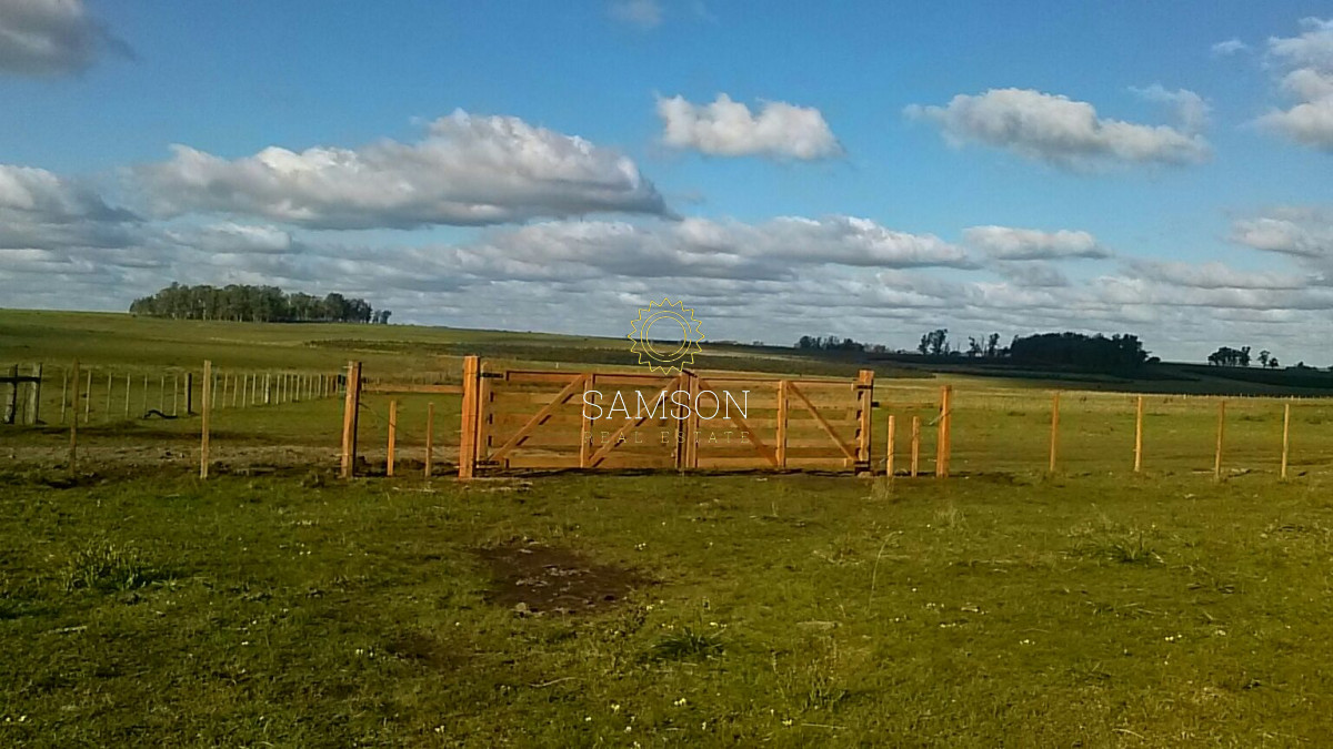Campo Ref.64084 - Venta de campo ganadero-agricola en Paysandu