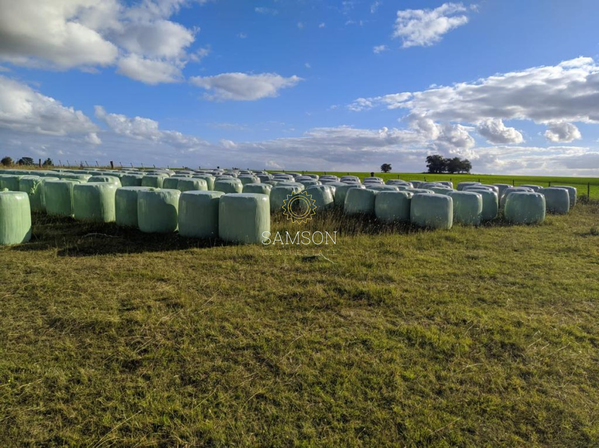 Campo Ref.64192 - Oportunidad de campo agricola e ganadero en venta florida uruguay