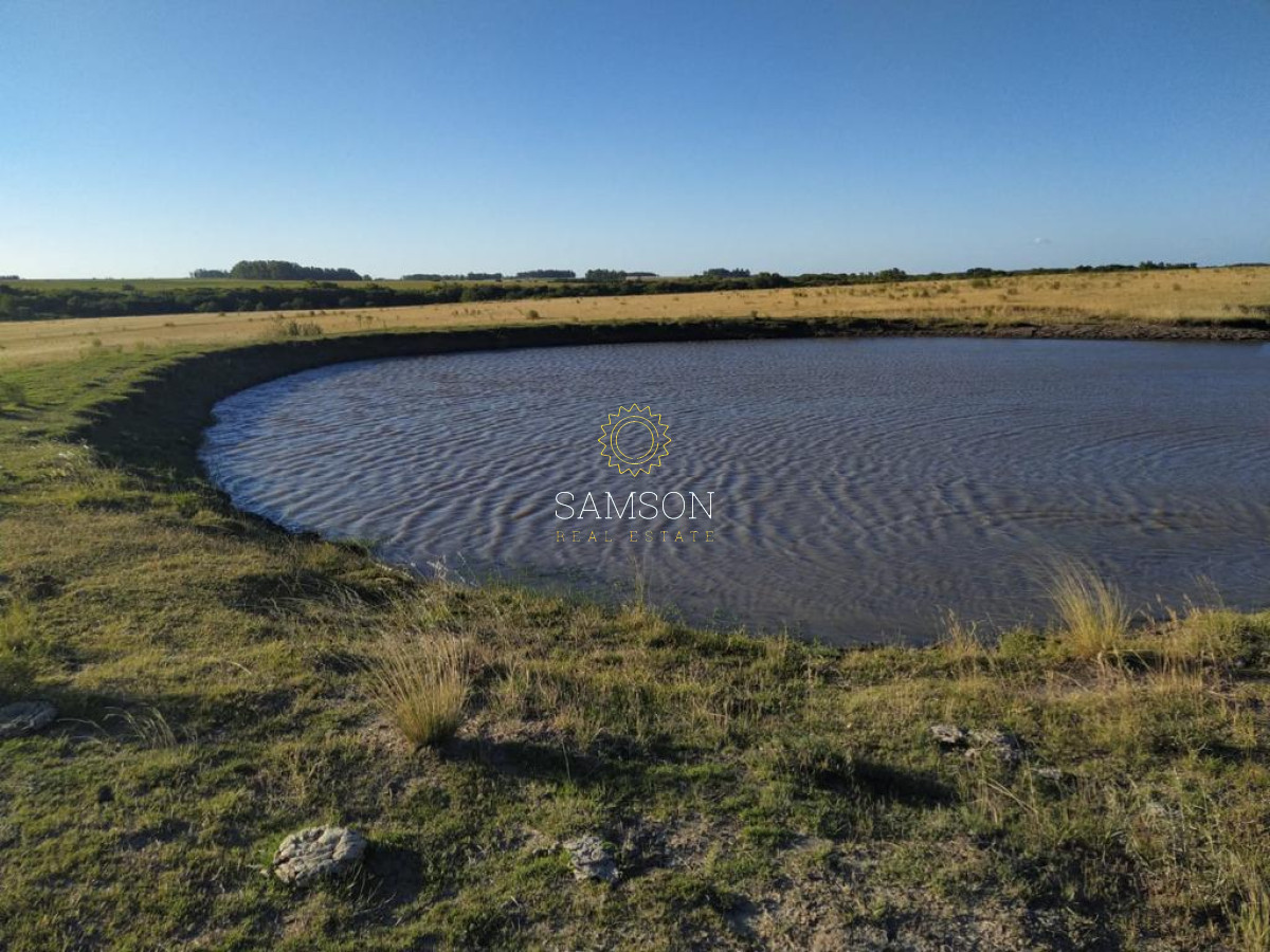 Campo Ref.64192 - Oportunidad de campo agricola e ganadero en venta florida uruguay