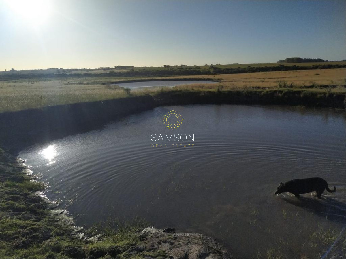 Campo Ref.64192 - Oportunidad de campo agricola e ganadero en venta florida uruguay