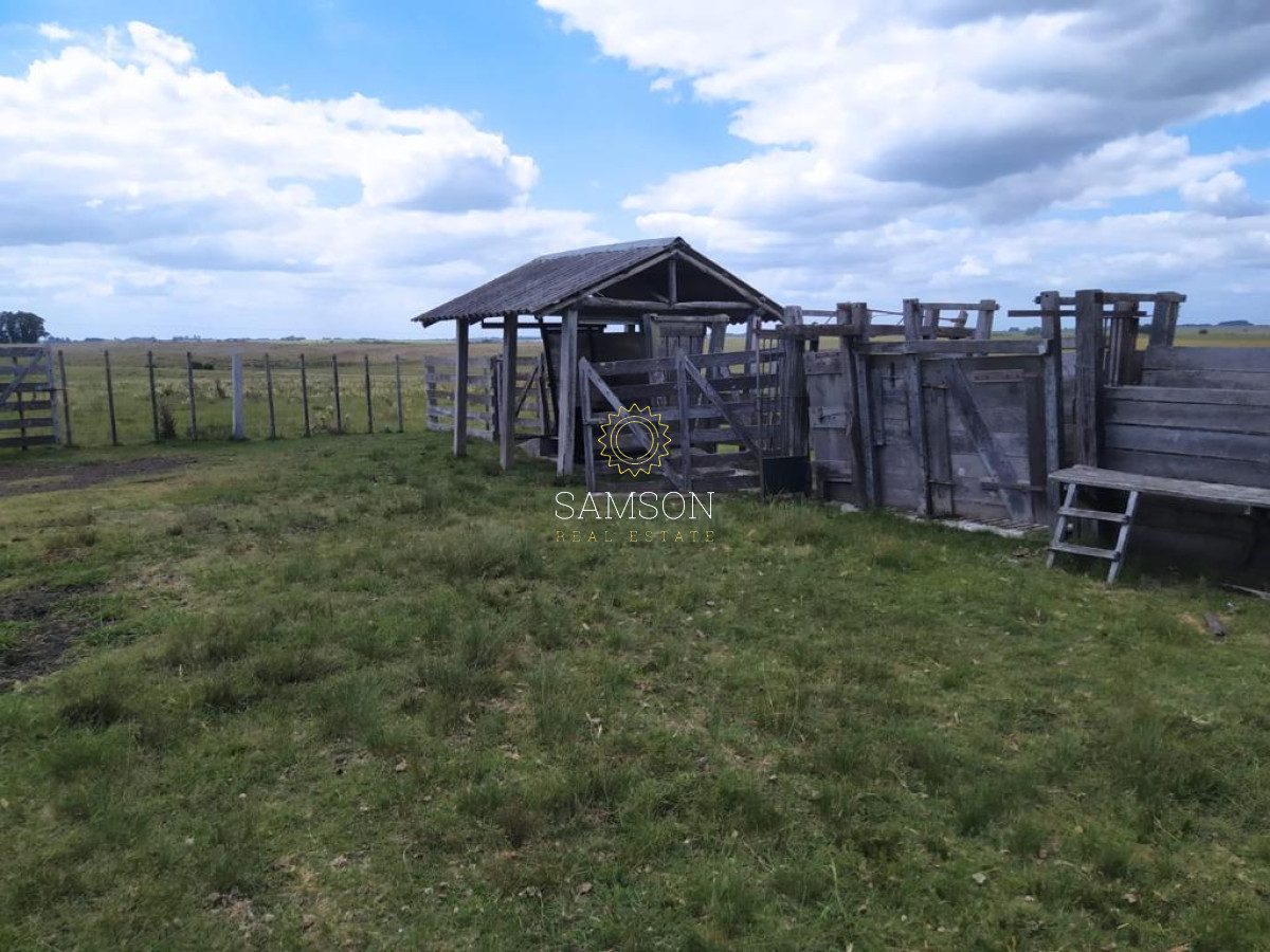 Campo Ref.64192 - Oportunidad de campo agricola e ganadero en venta florida uruguay