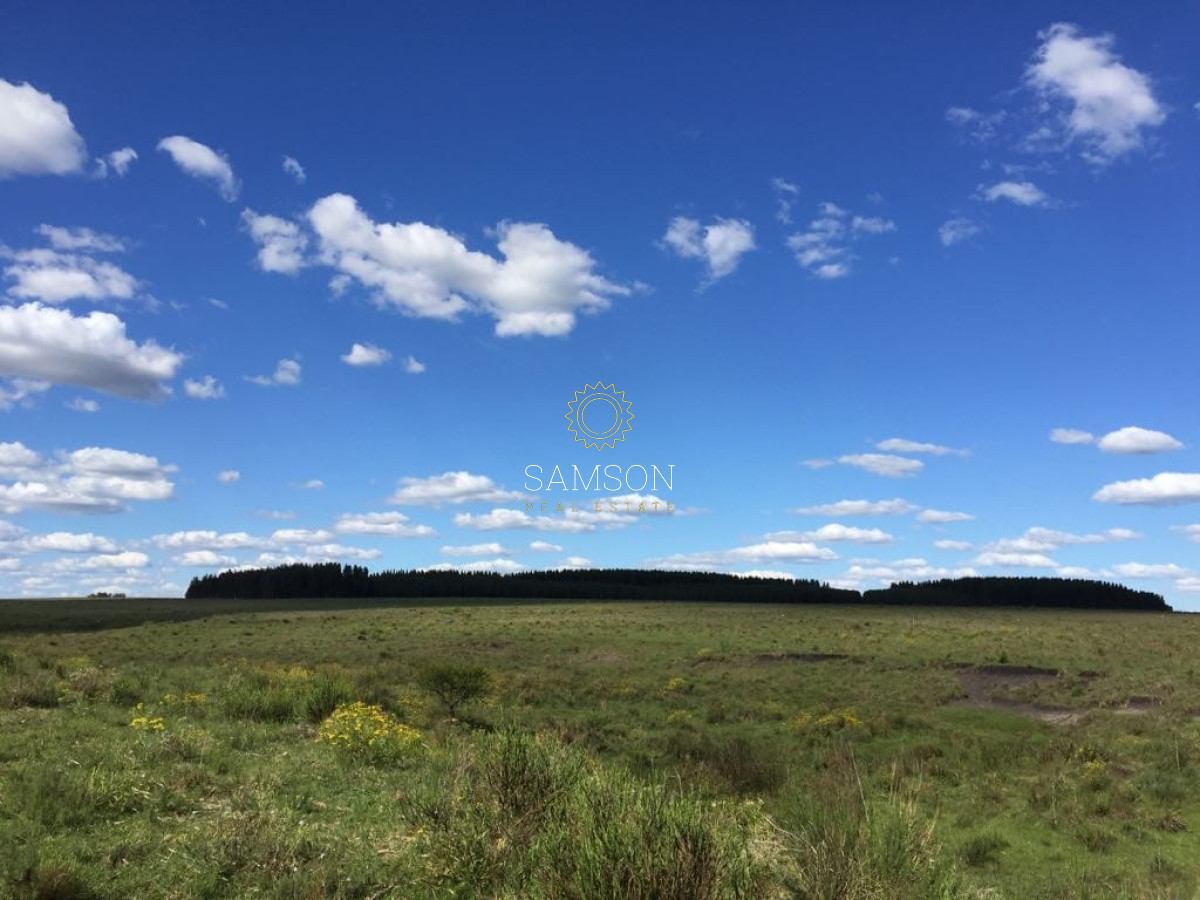 Campo Ref.64084 - Venta de campo ganadero-agricola en Paysandu