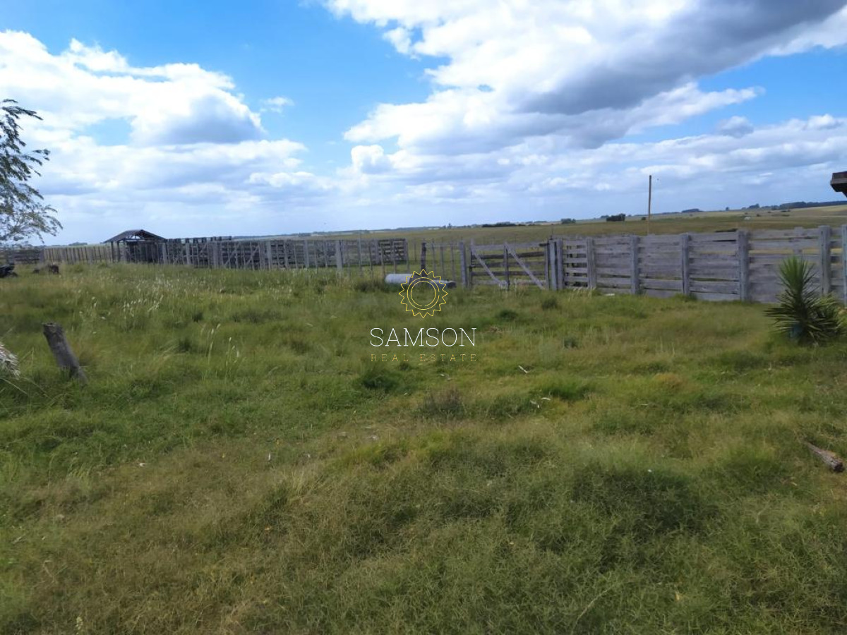 Campo Ref.64192 - Oportunidad de campo agricola e ganadero en venta florida uruguay