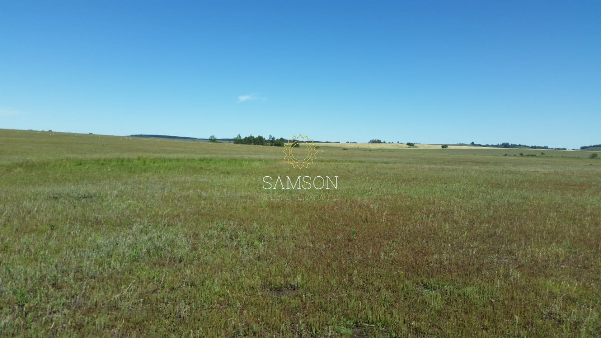 Campo Ref.64084 - Venta de campo ganadero-agricola en Paysandu
