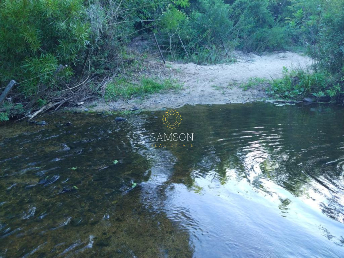 Campo Ref.64192 - Oportunidad de campo agricola e ganadero en venta florida uruguay