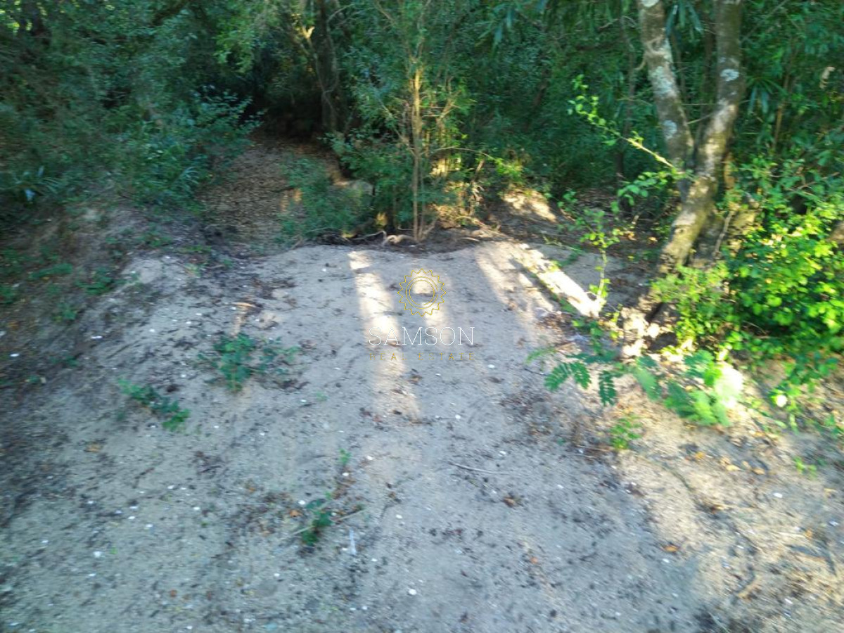 Campo Ref.64192 - Oportunidad de campo agricola e ganadero en venta florida uruguay