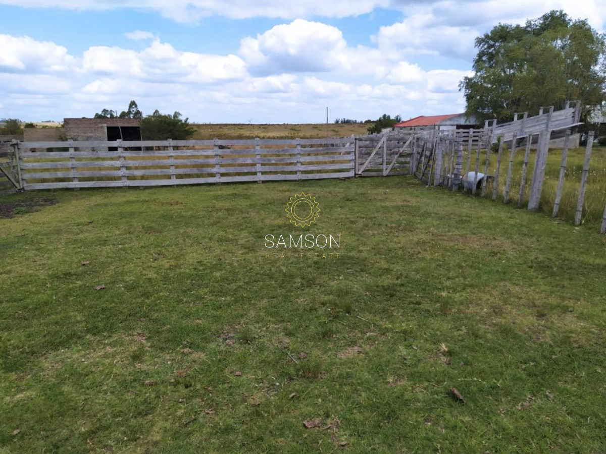 Campo Ref.64192 - Oportunidad de campo agricola e ganadero en venta florida uruguay