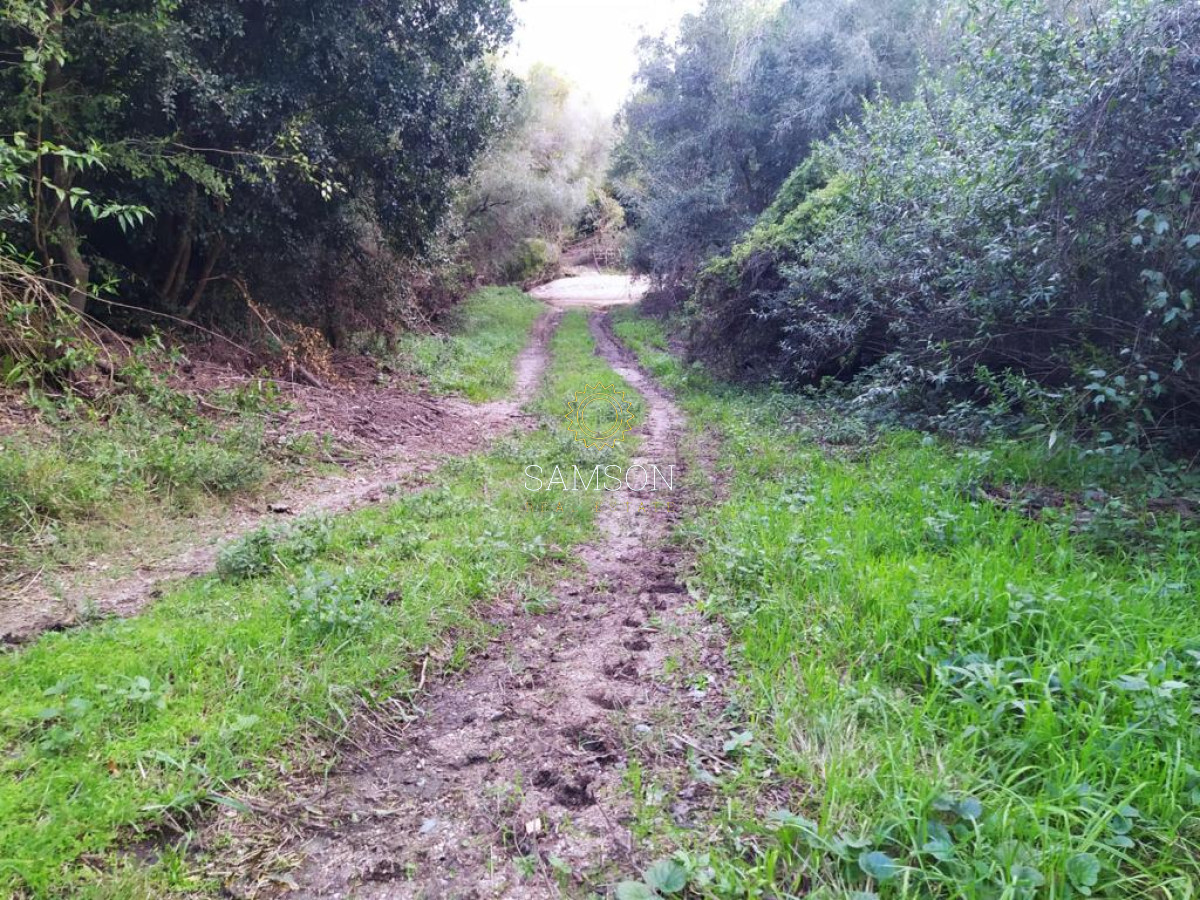 Campo Ref.64192 - Oportunidad de campo agricola e ganadero en venta florida uruguay