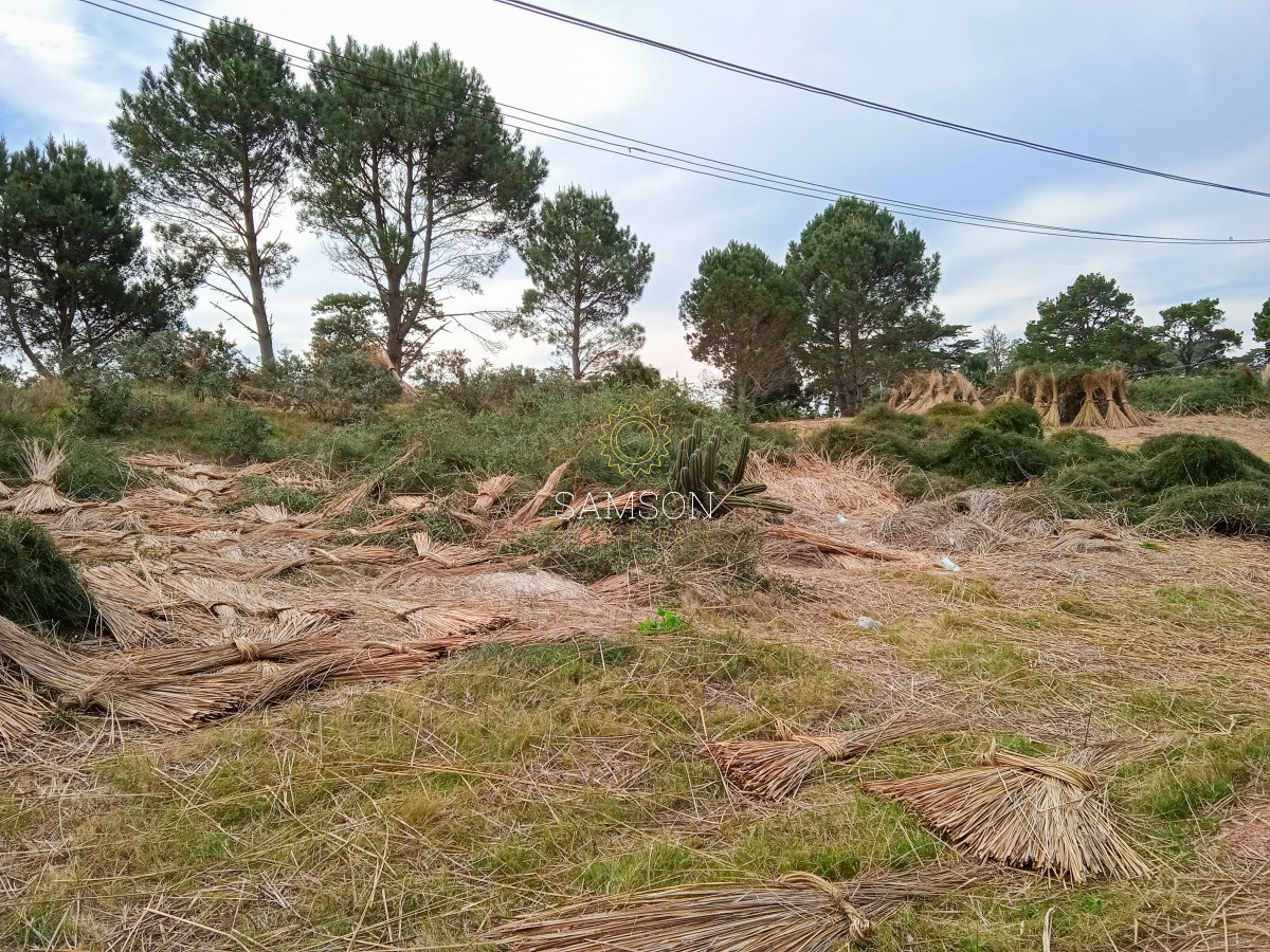 Terreno ID.64315 - Terreno Venta en Piedras del Chileno Punta del Este