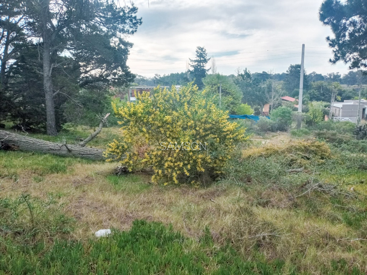 Terreno ID.64315 - Terreno Venta en Piedras del Chileno Punta del Este