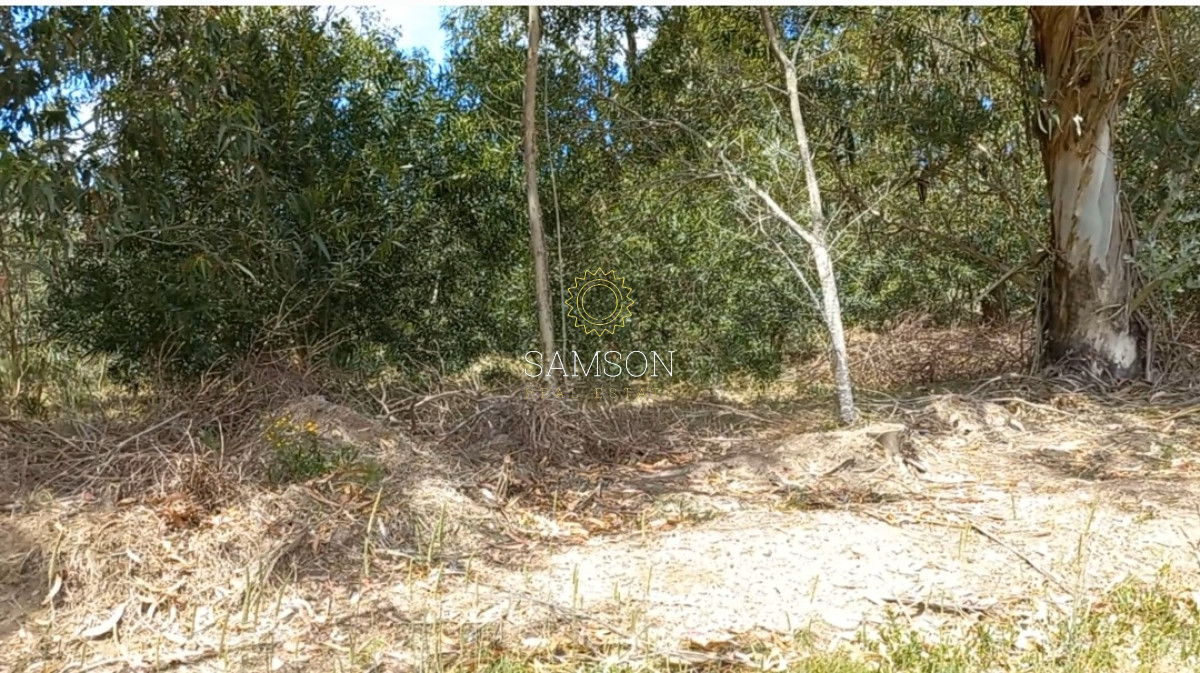 Terreno ID.65535 - Vendo Lote en Barra de Portezuelo, KM 107, Ruta Interbalnearea