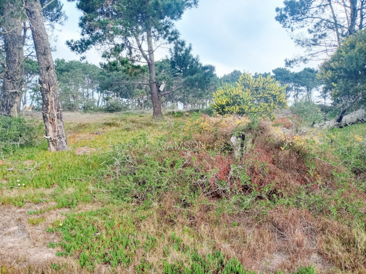 Terreno ID.64315 - Terreno Venta en Piedras del Chileno Punta del Este
