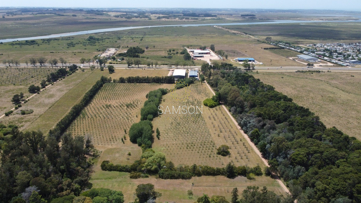 Terreno ID.65971 - Venta fracción de 28 HA la sierra del Peñasco para fraccionamiento 